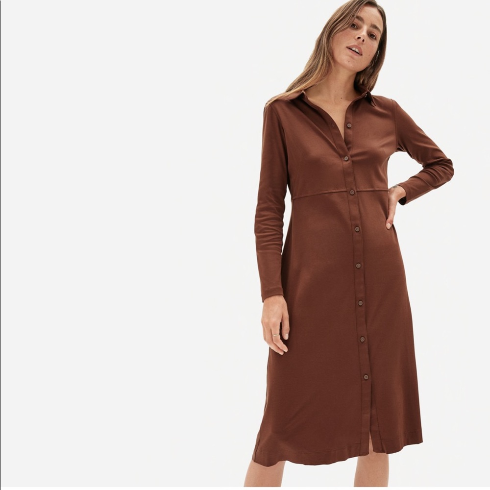 Everlane The Luxe Cotton Shirt Dress